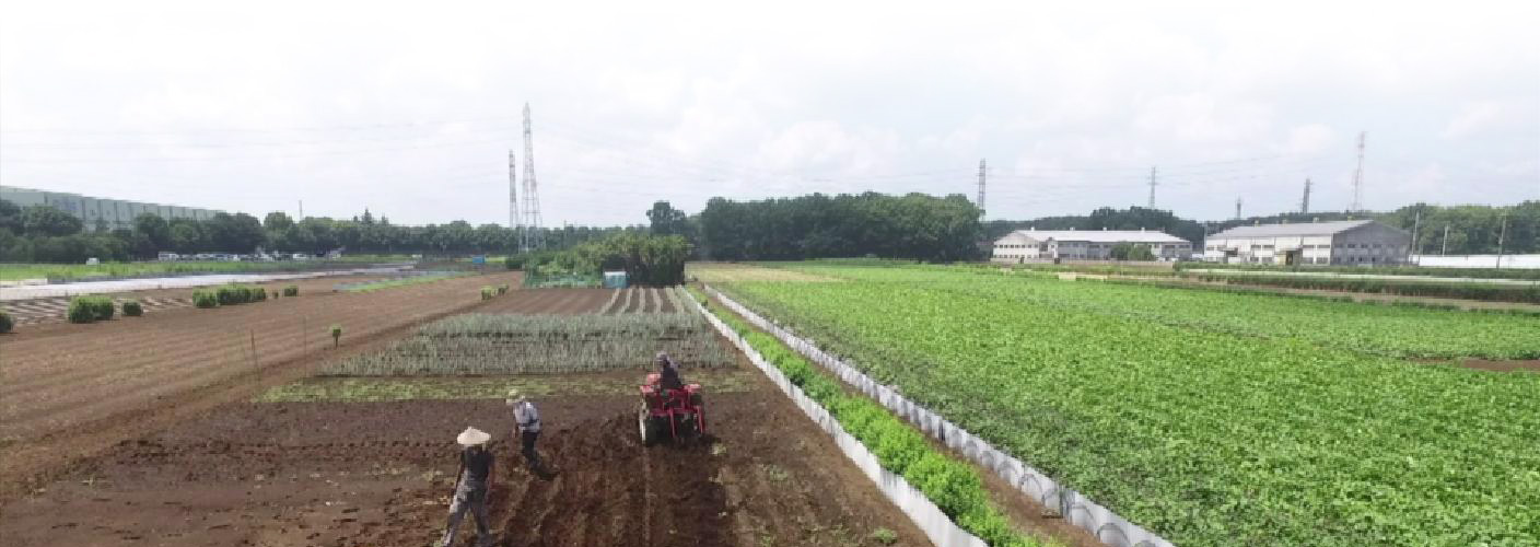上から見た明石農園