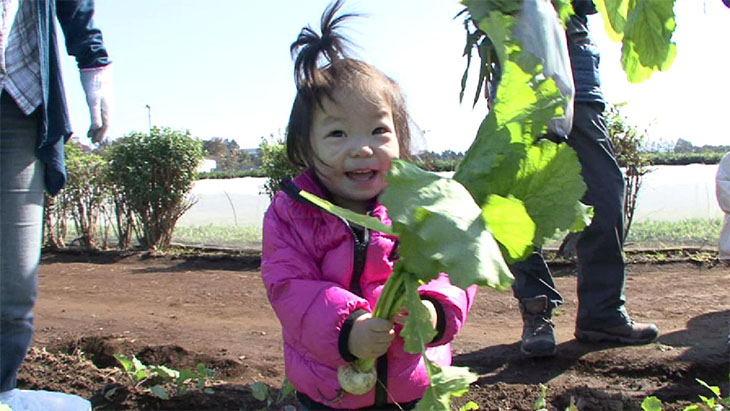子ども野菜採り写真